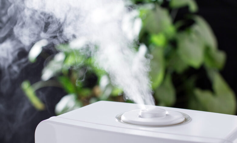 Dehumidifier Vs Air Purifier What Are The Differences The PK Times