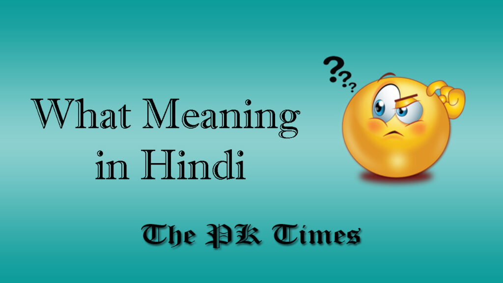 What Meaning in Hindi