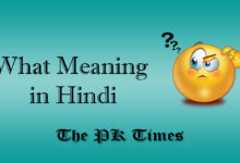 What Meaning in Hindi (What का हिंदी में मतलब)