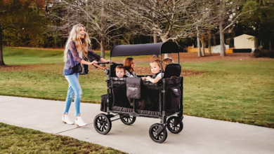 Stroller Wagons: Best Replacement of the Traditional Strollers