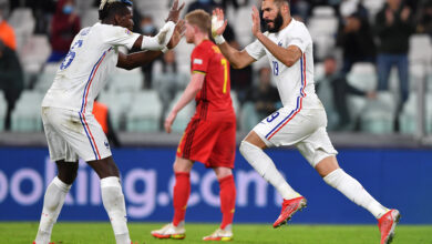 Belgium vs France Highlights