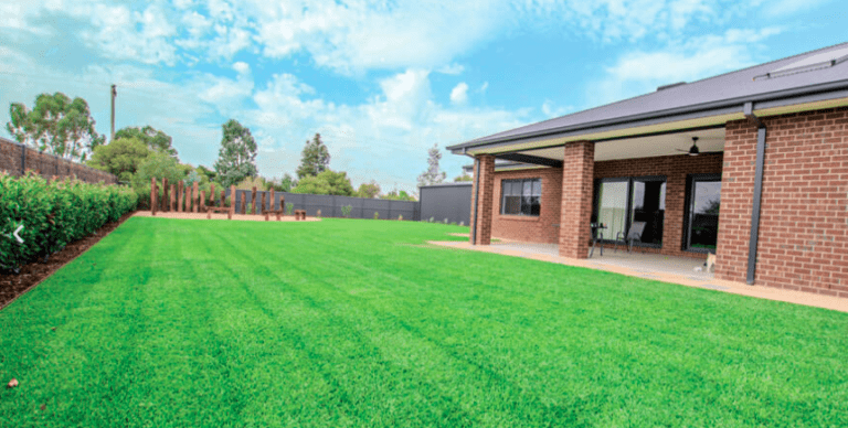 Benefits Of Using Sir Walter Buffalo Grass On Your Lawn