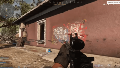 Warzone Hacks
