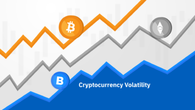 Crypto Markets Constant Volatility
