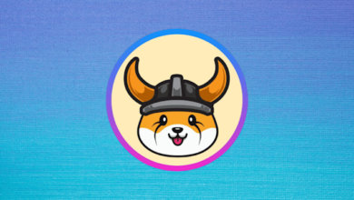 Floki Inu