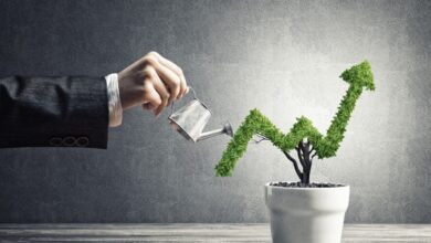 Growing Your Business