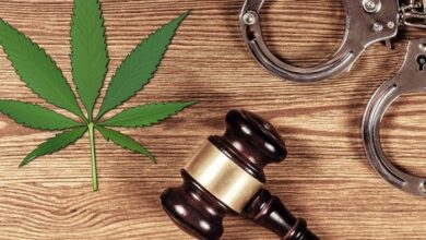 Marijuana