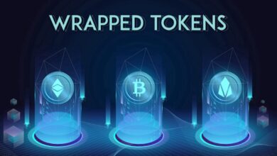 Wrapped Tokens