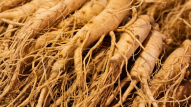 siberian Ginseng Extract