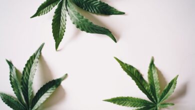 Full Spectrum CBD