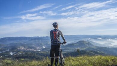 Electric Bicycles