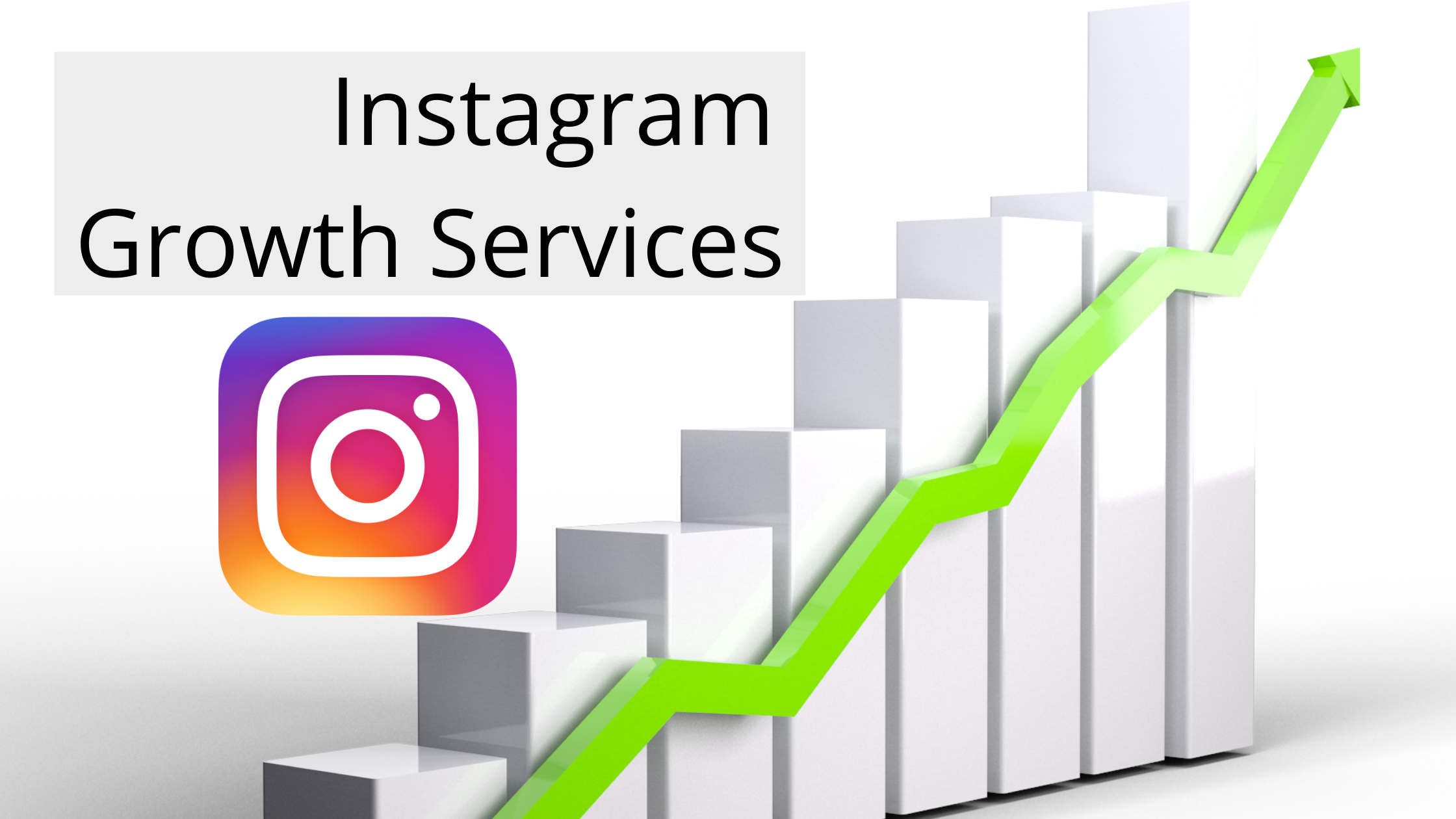 Instagram Growth Service