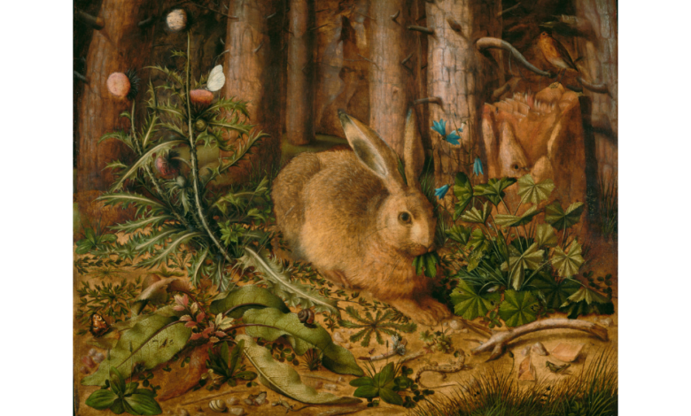 Rabbit Paintings That You'll Want to Take Home