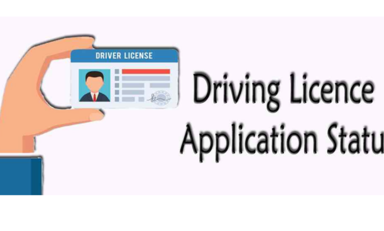 free drivers license check