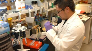 medical laboratory scientist's job