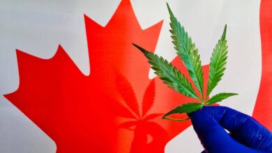 online weed store Canada