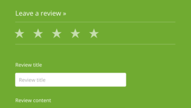 WordPress Product Review Plugin