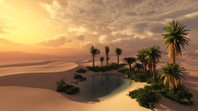 Beneath Cursed Sands