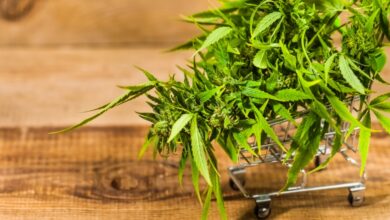 Marijuana Delivery Vancouver