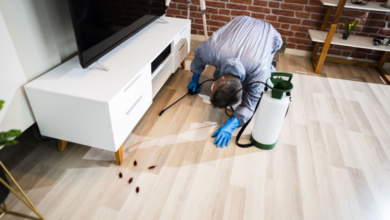 Pest Problem