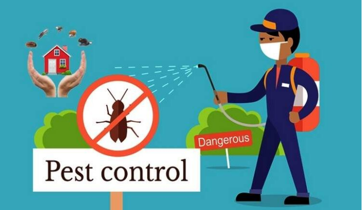 pest control