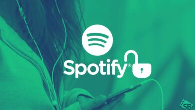 Unblock Spotify
