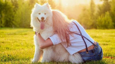Health Benefits of Pet Ownership