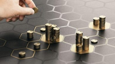 Portfolio Investments