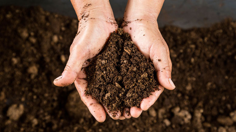 maintaining healthy soil