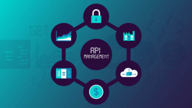Alternatives for API Management