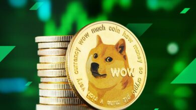 Dogecoin's Journey