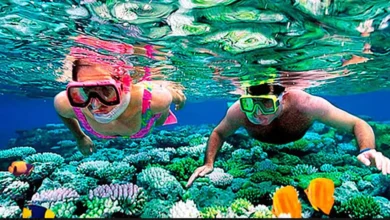 Snorkeling Charters