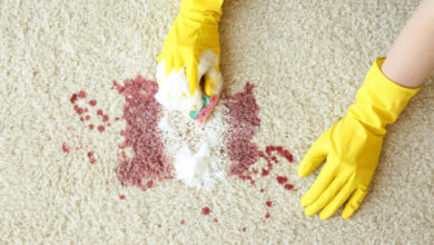 Stain and Spill Cleanup