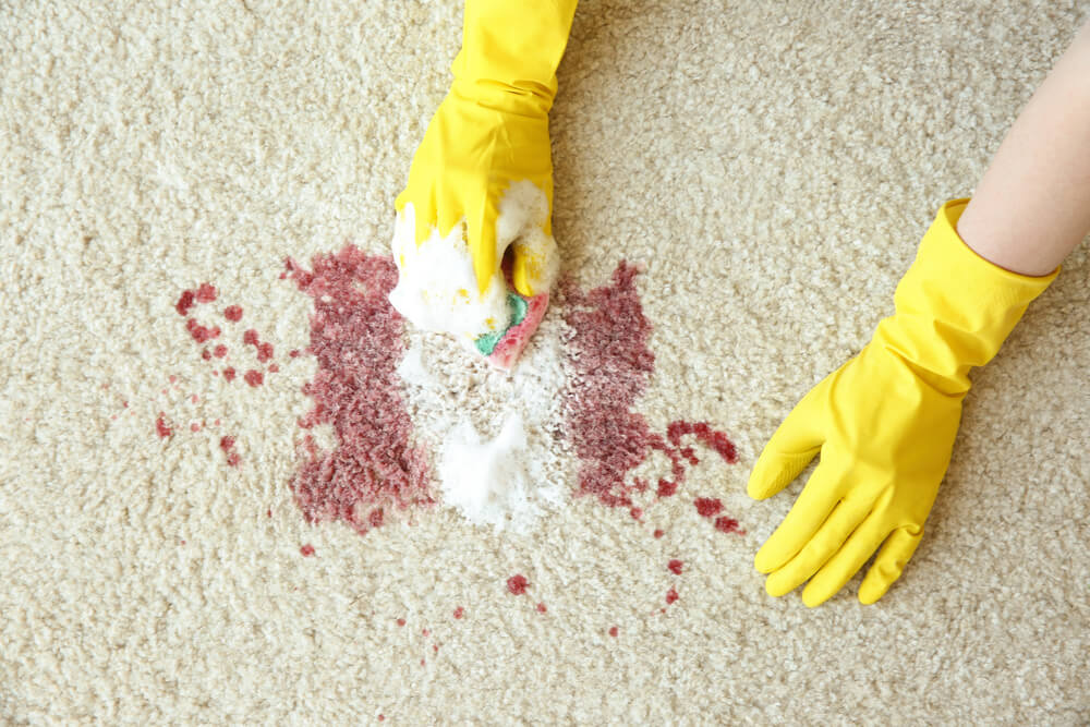 Stain and Spill Cleanup