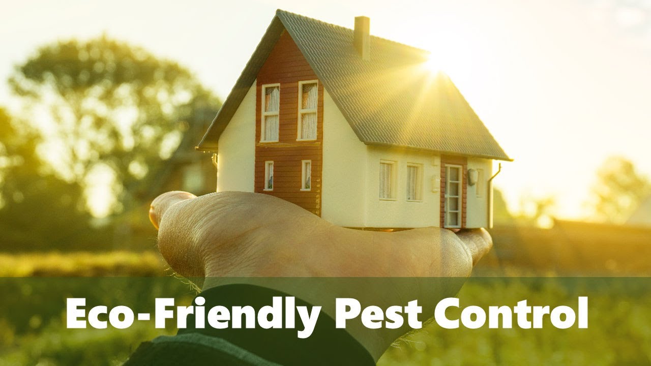 Eco-Friendly Pest Control