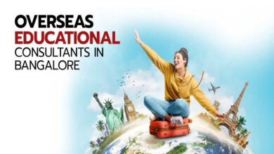Overseas Education Consultants