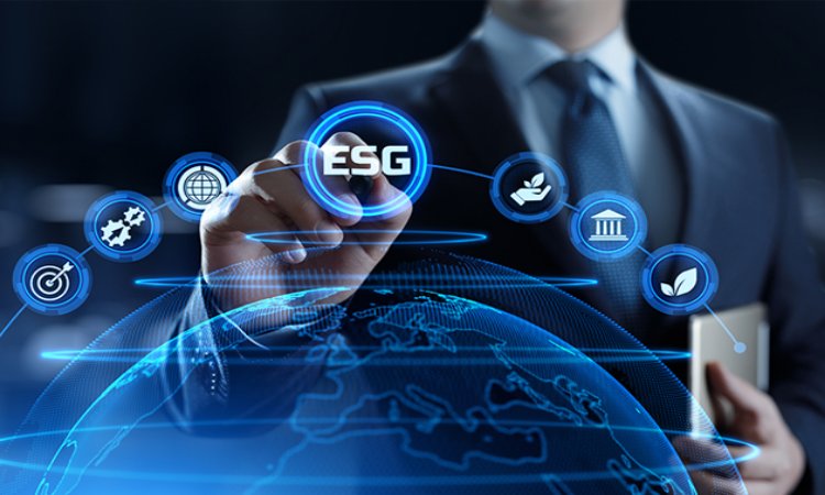 Risk Assessment in ESG
