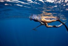 Spearfishing Charter