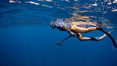 Spearfishing Charter