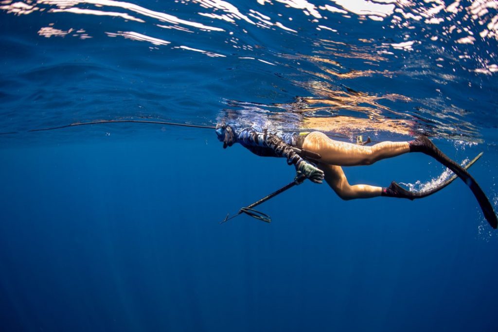Spearfishing Charter