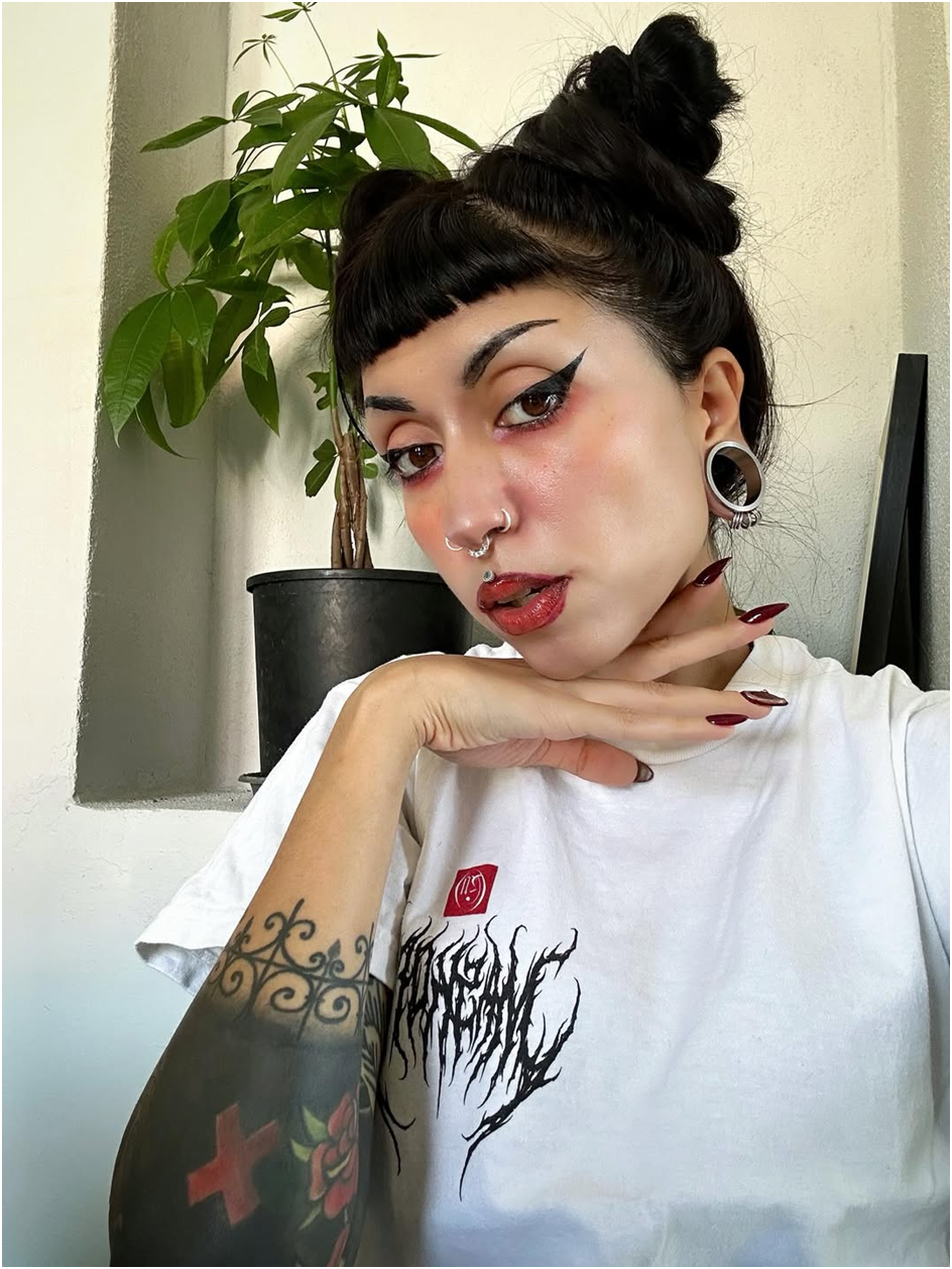 Punk Jewelry with PunkPlugs