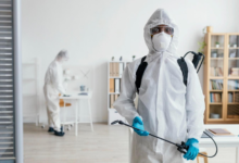 Termite Control