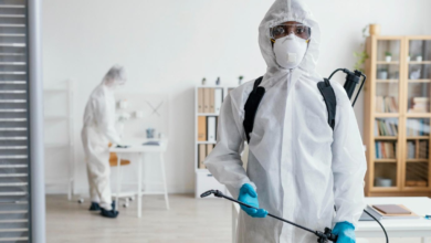 Termite Control