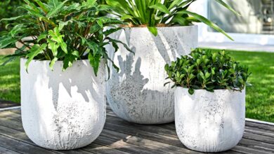 Extra Large Lightweight Outdoor Pots