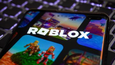 Roblox Abuse Lawsuits