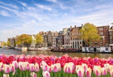 Spring Day in Amsterdam