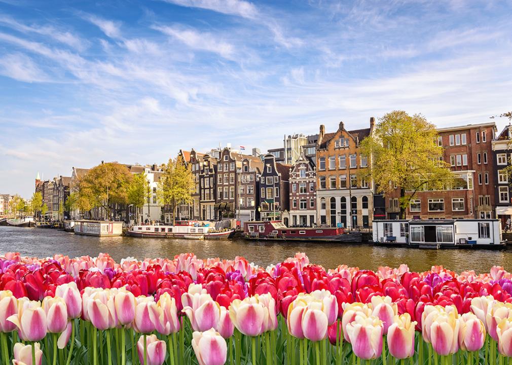 Spring Day in Amsterdam