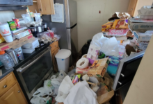 Professional Hoarding Clean Up
