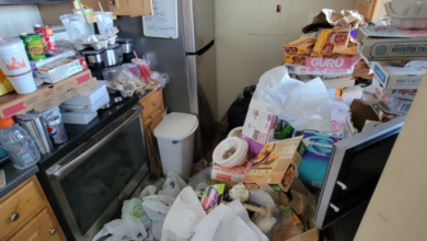 Professional Hoarding Clean Up