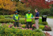 Commercial Landscaping Services